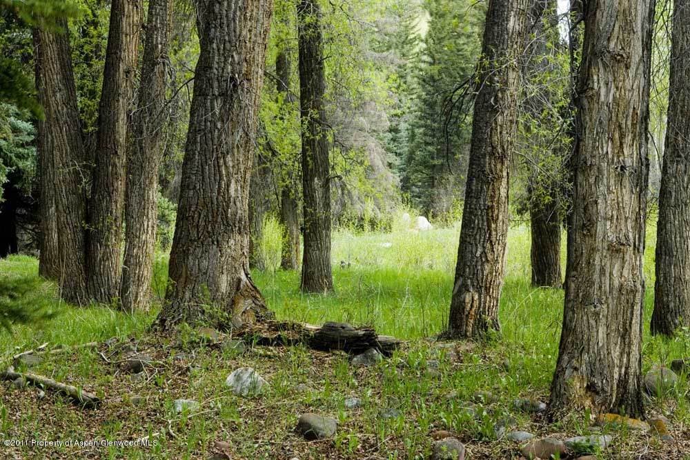 Lot 11 Double Bar X Ranch, Aspen, CO 81611 - Photo 14