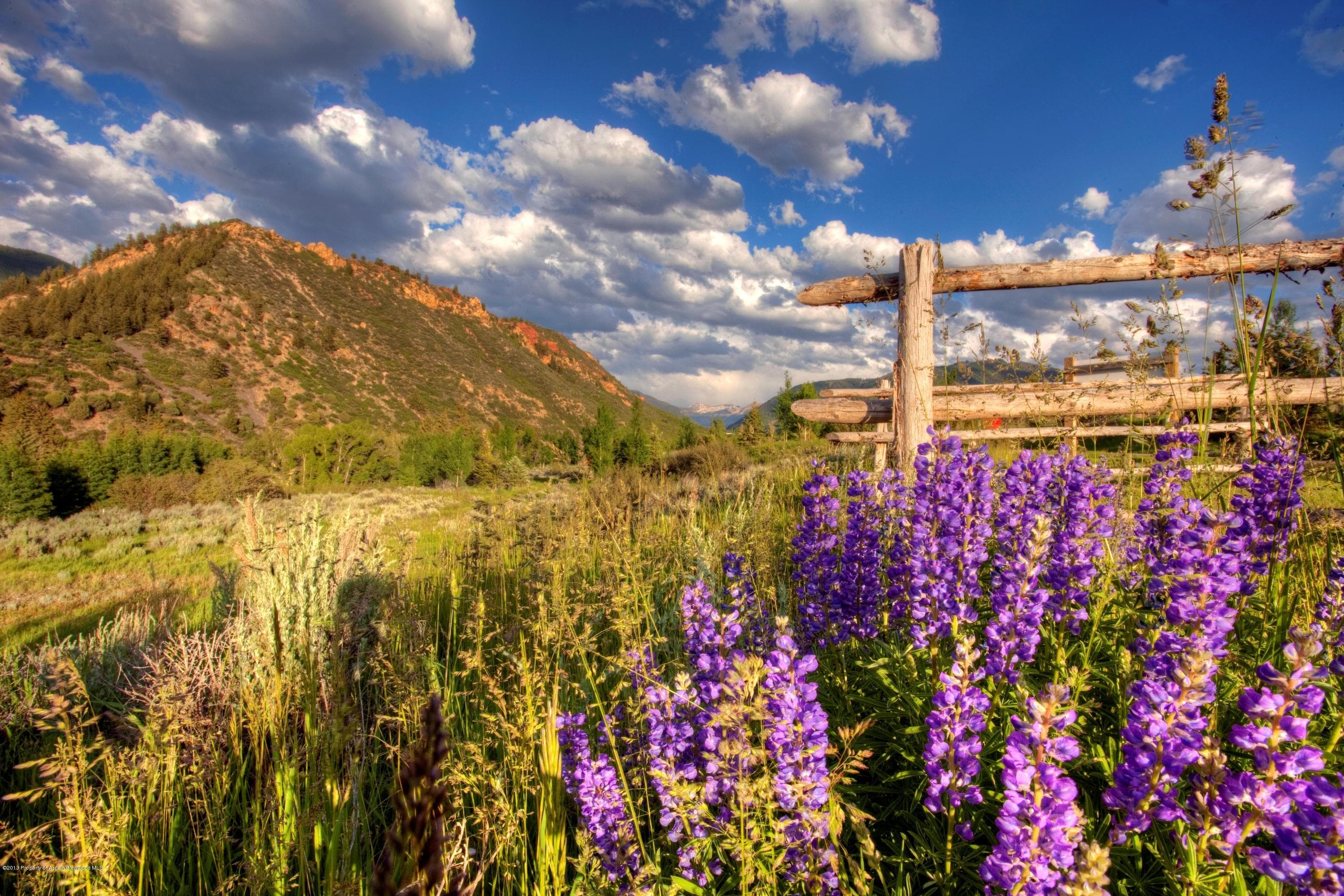 Lot 12 Double Bar X Ranch, Aspen, CO 81611 - Photo 12