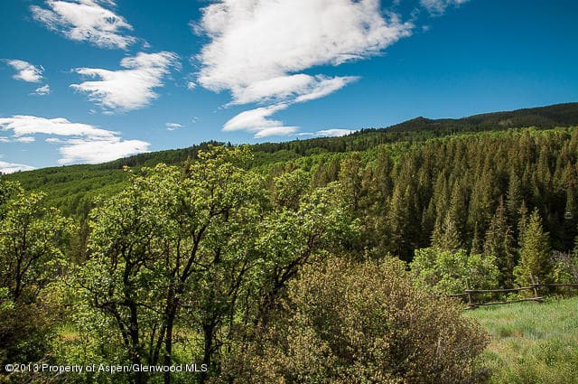 Tbd Two Creeks Drive, Snowmass Village, CO 81615 - Photo 11