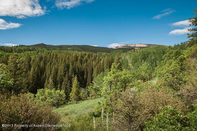 Tbd Two Creeks Drive, Snowmass Village, CO 81615 - Photo 10