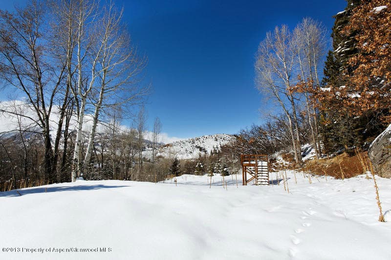 972 Willoughby Way, Aspen, CO 81611 - Photo 6