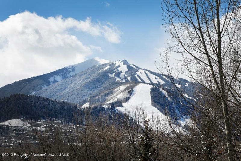 972 Willoughby Way, Aspen, CO 81611 - Photo 2