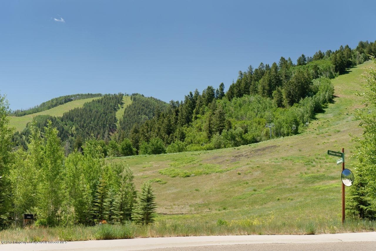 16 S Willow Court, Aspen, CO 81611 - Photo 6