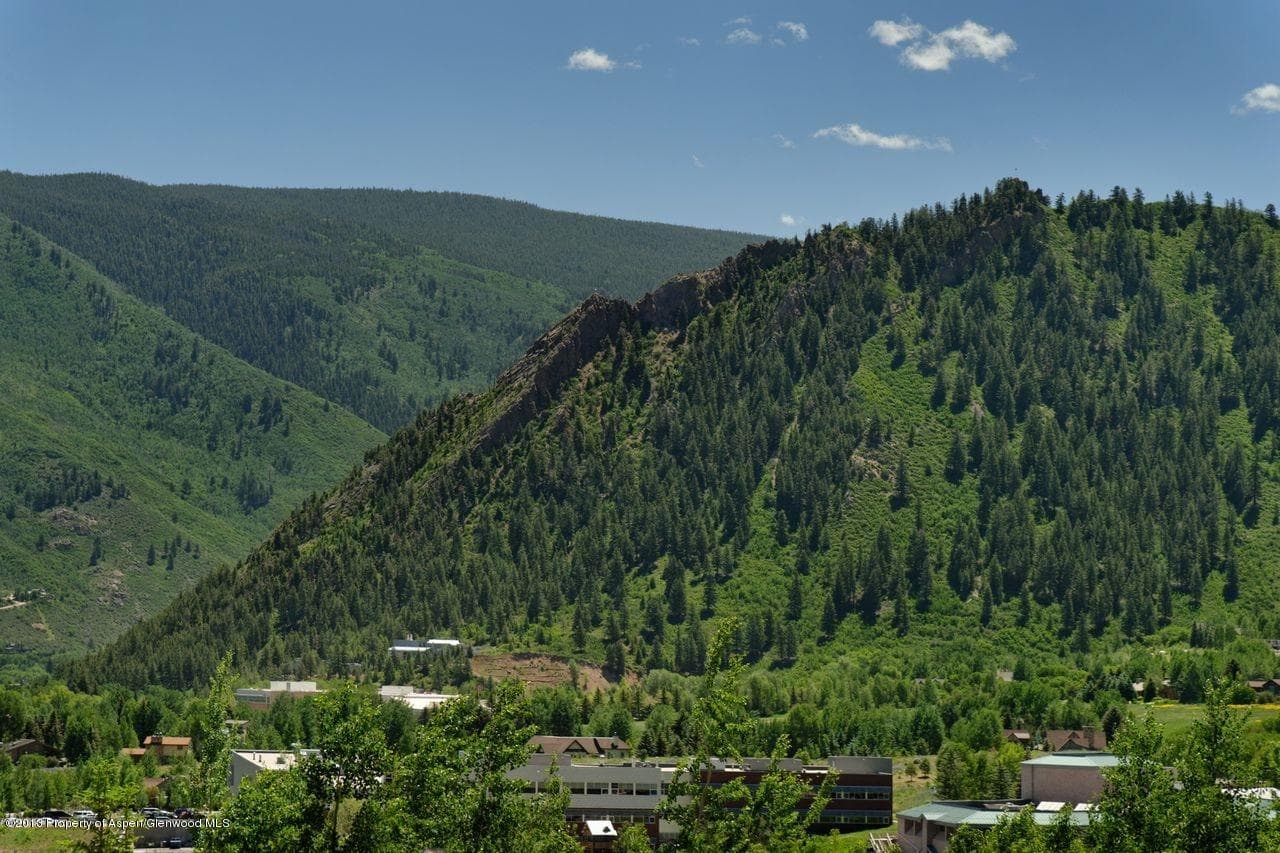 16 S Willow Court, Aspen, CO 81611 - Photo 8