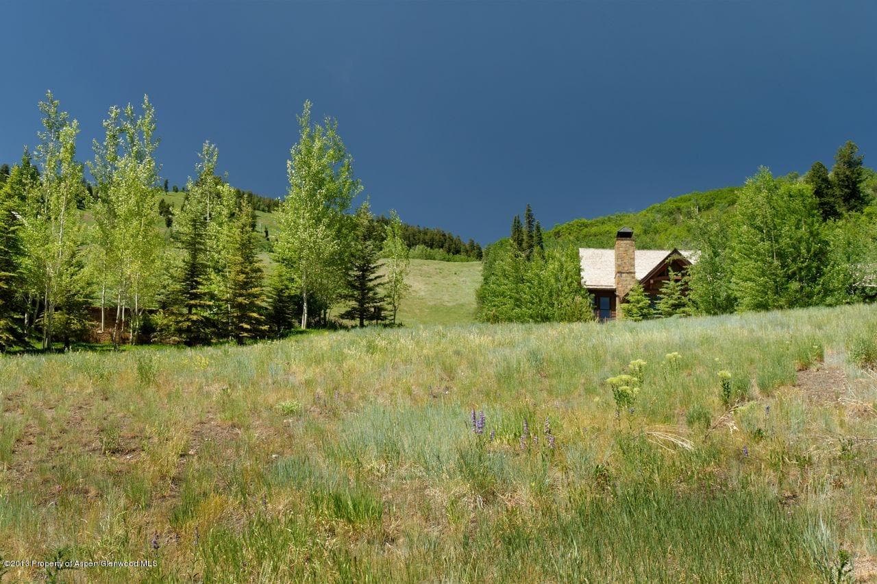 16 S Willow Court, Aspen, CO 81611 - Photo 9