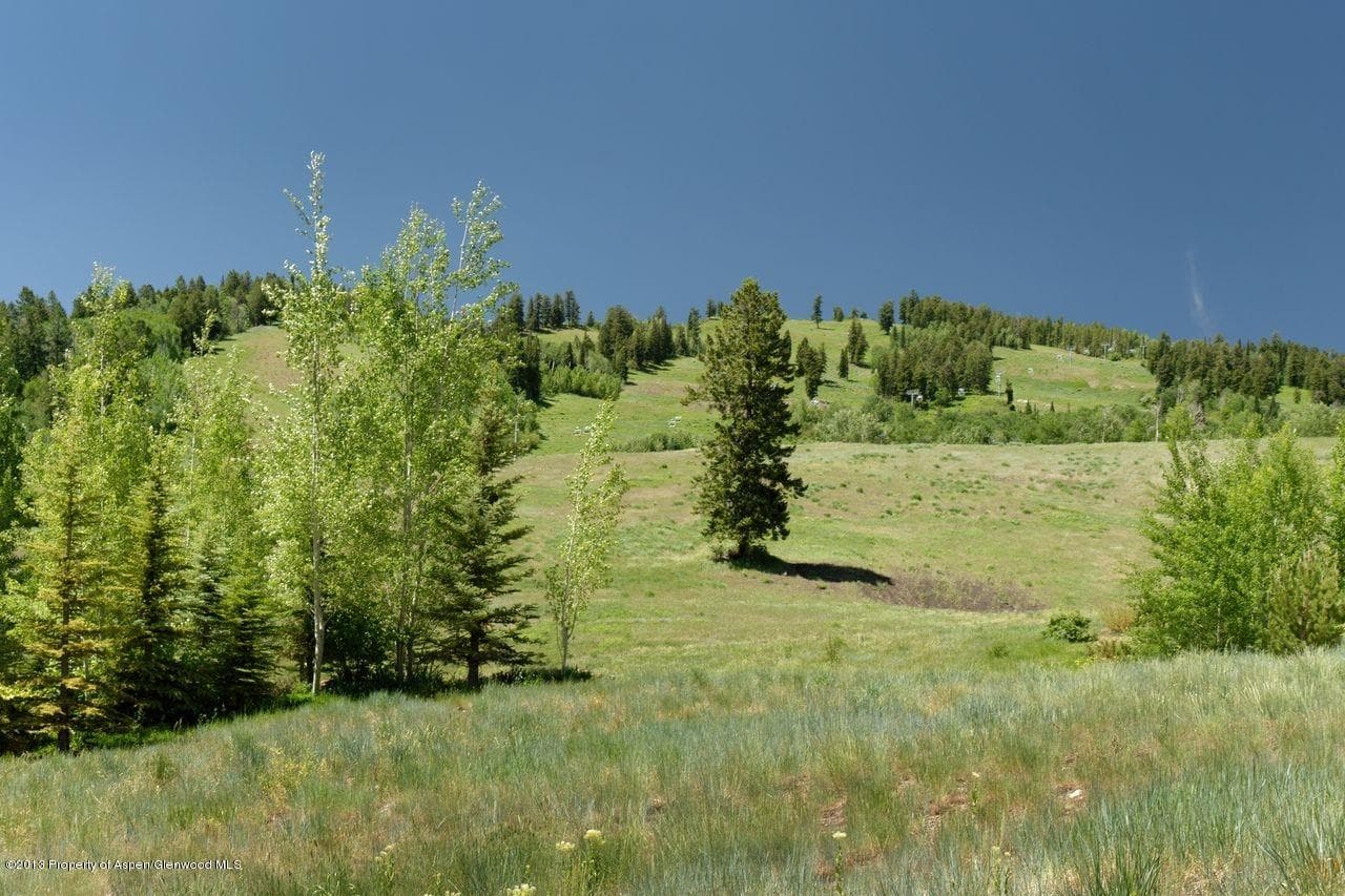 16 S Willow Court, Aspen, CO 81611 - Photo 11