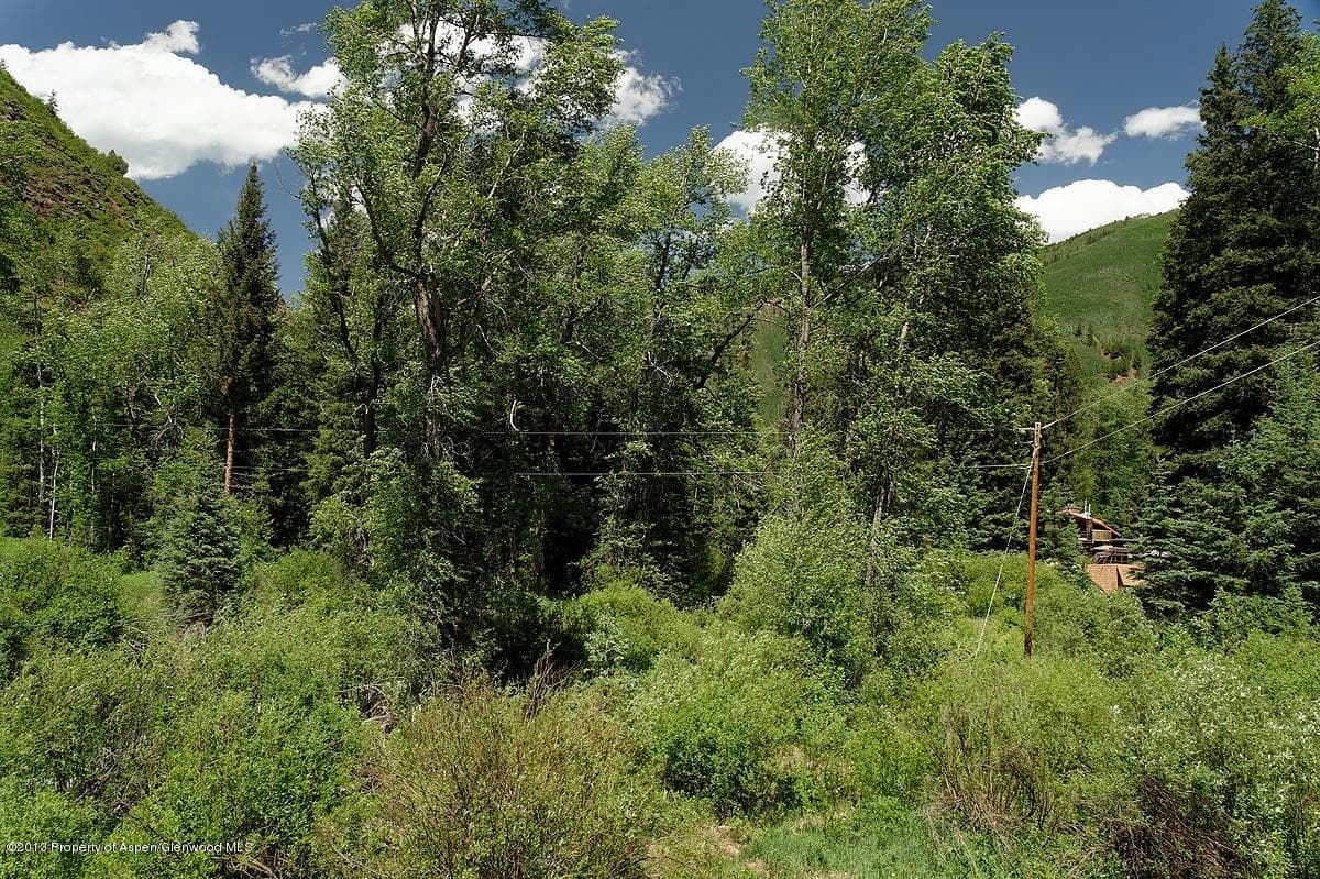 761 Conundrum Road, Aspen, CO 81611 - Photo 16
