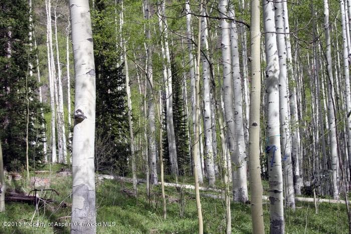 0874 Conundrum Road, Aspen, CO 81611