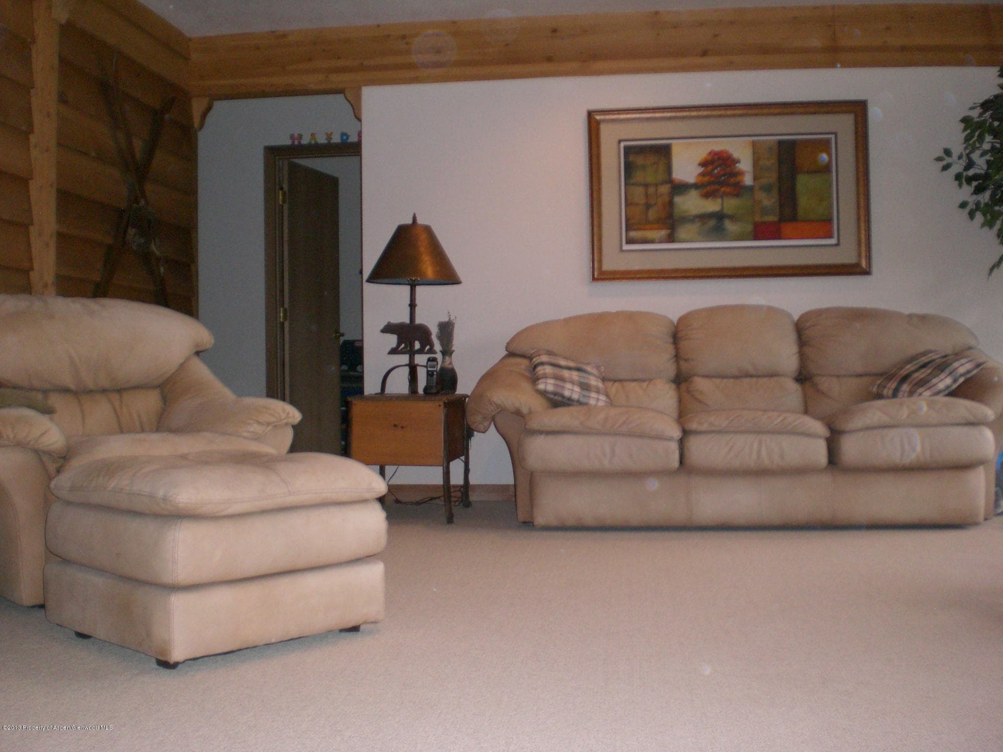 1266 Mclaughlin Lane, Basalt, CO 81621 - Photo 9