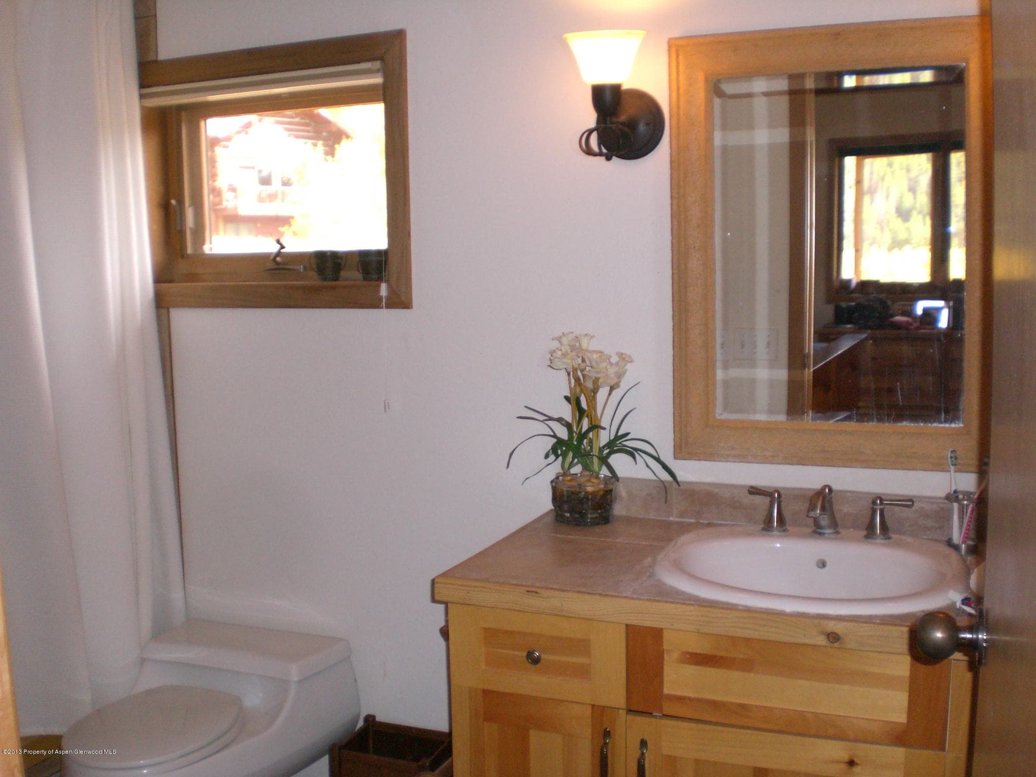 1266 Mclaughlin Lane, Basalt, CO 81621 - Photo 17