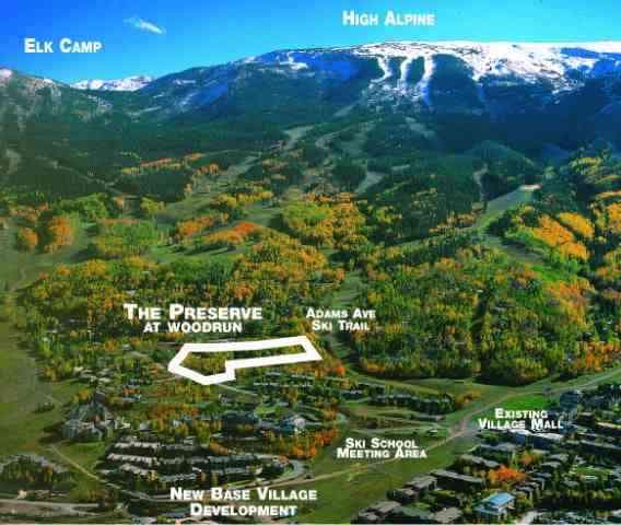 1005 Wood Road, Snowmass Village, CO 81615 - Photo 6