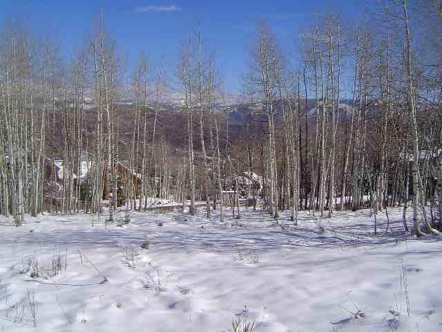1005 Wood Road, Snowmass Village, CO 81615 - Photo 9