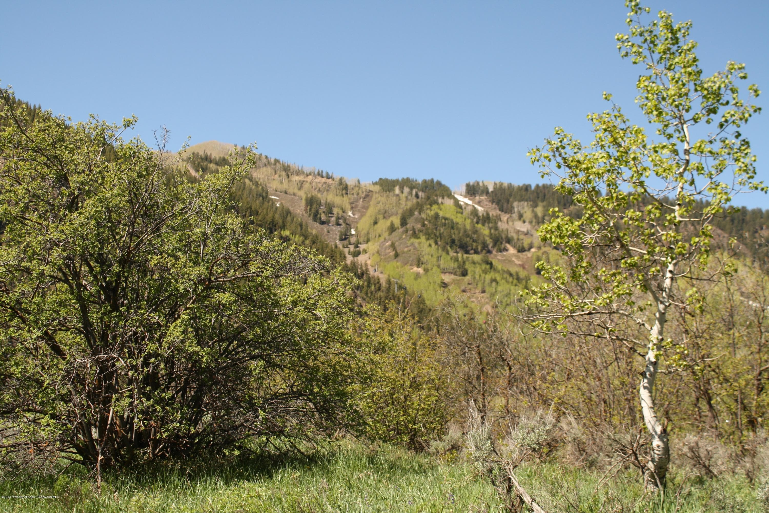 Tbd S Riverside Avenue, Aspen, CO 81611 - Photo 4