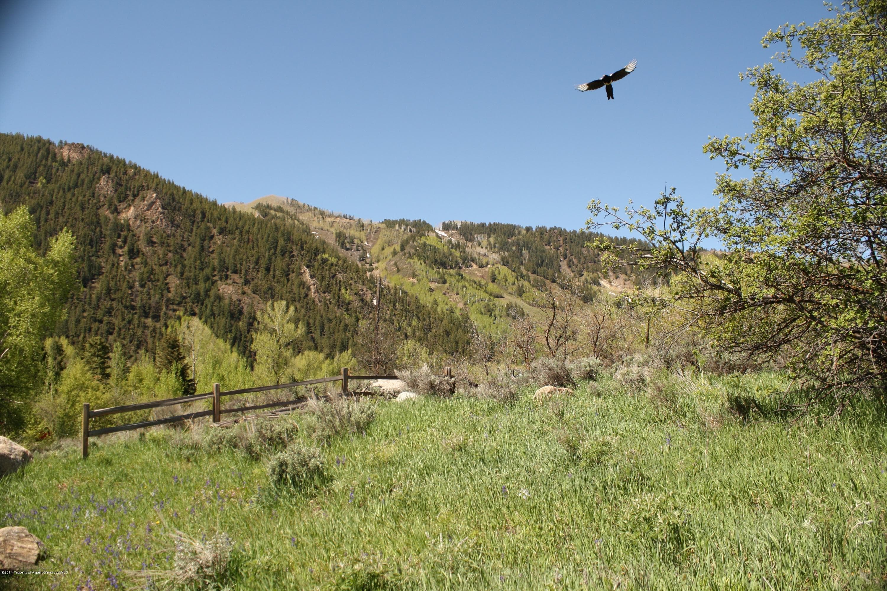 Tbd S Riverside Avenue, Aspen, CO 81611 - Photo 2