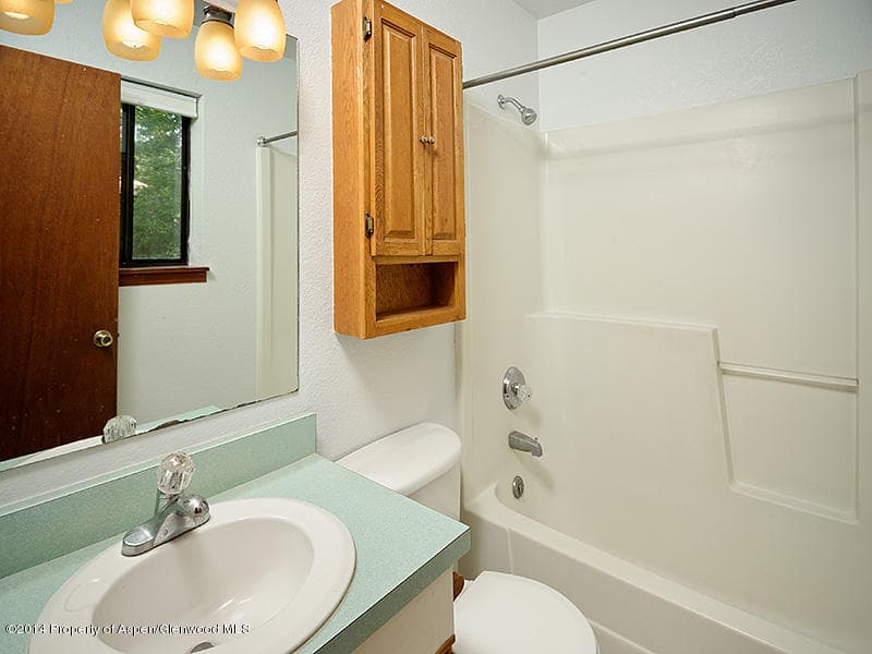97 Bobcat Court, Carbondale, CO 81623 - Photo 10