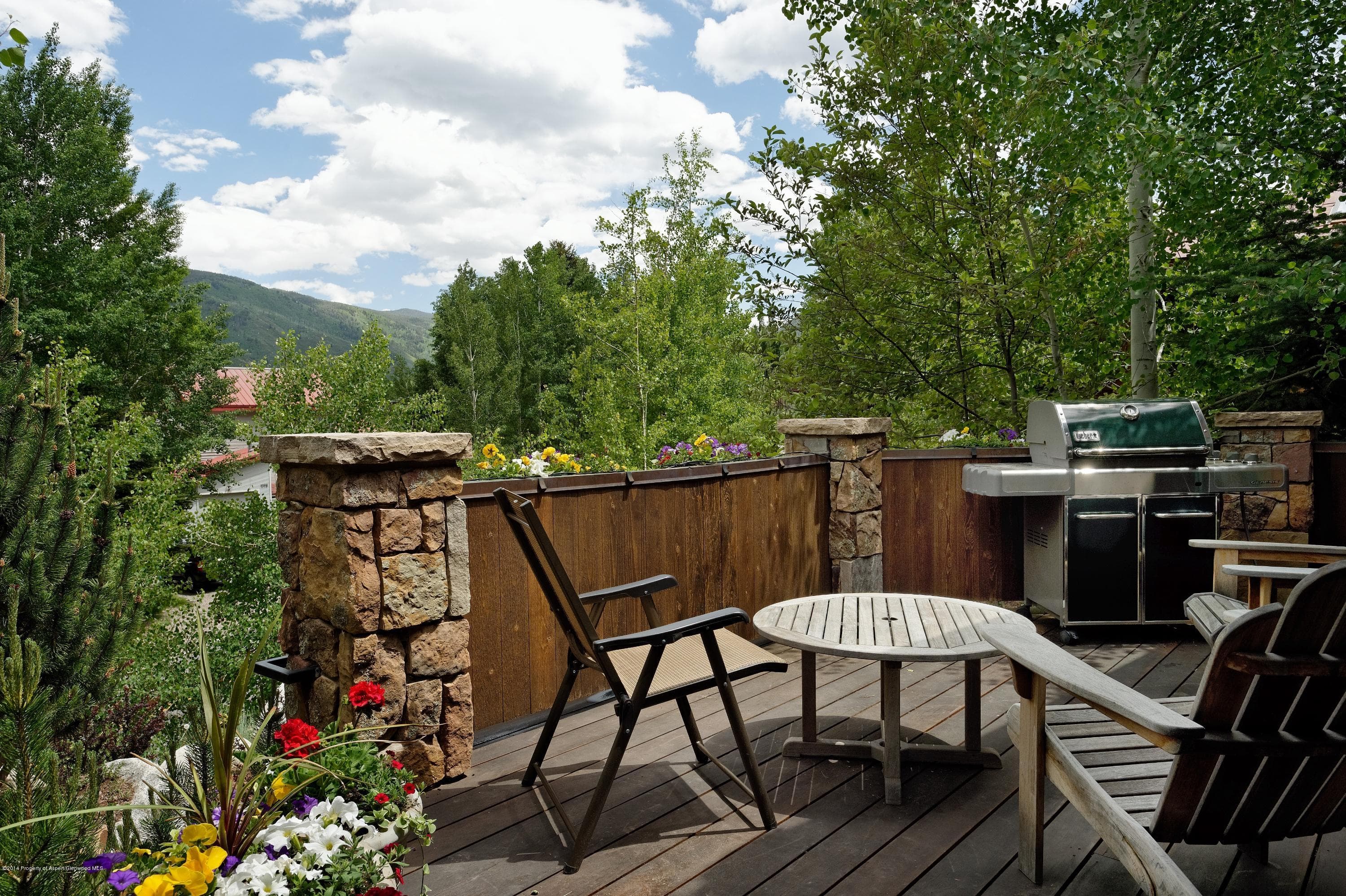 1113 Cemetery Lane, Aspen, CO 81611 - Photo 11