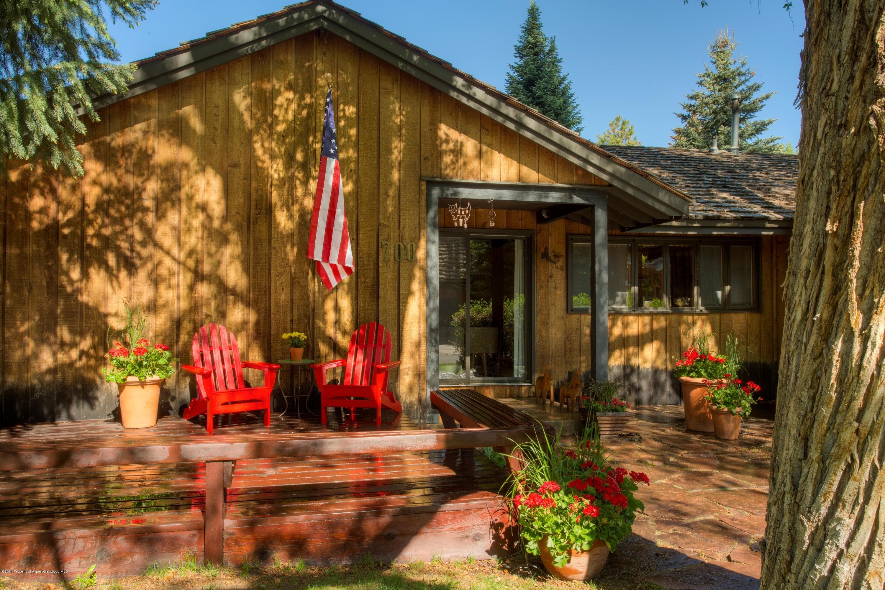 700 W Smuggler Street, Aspen, CO 81611 - Photo 3