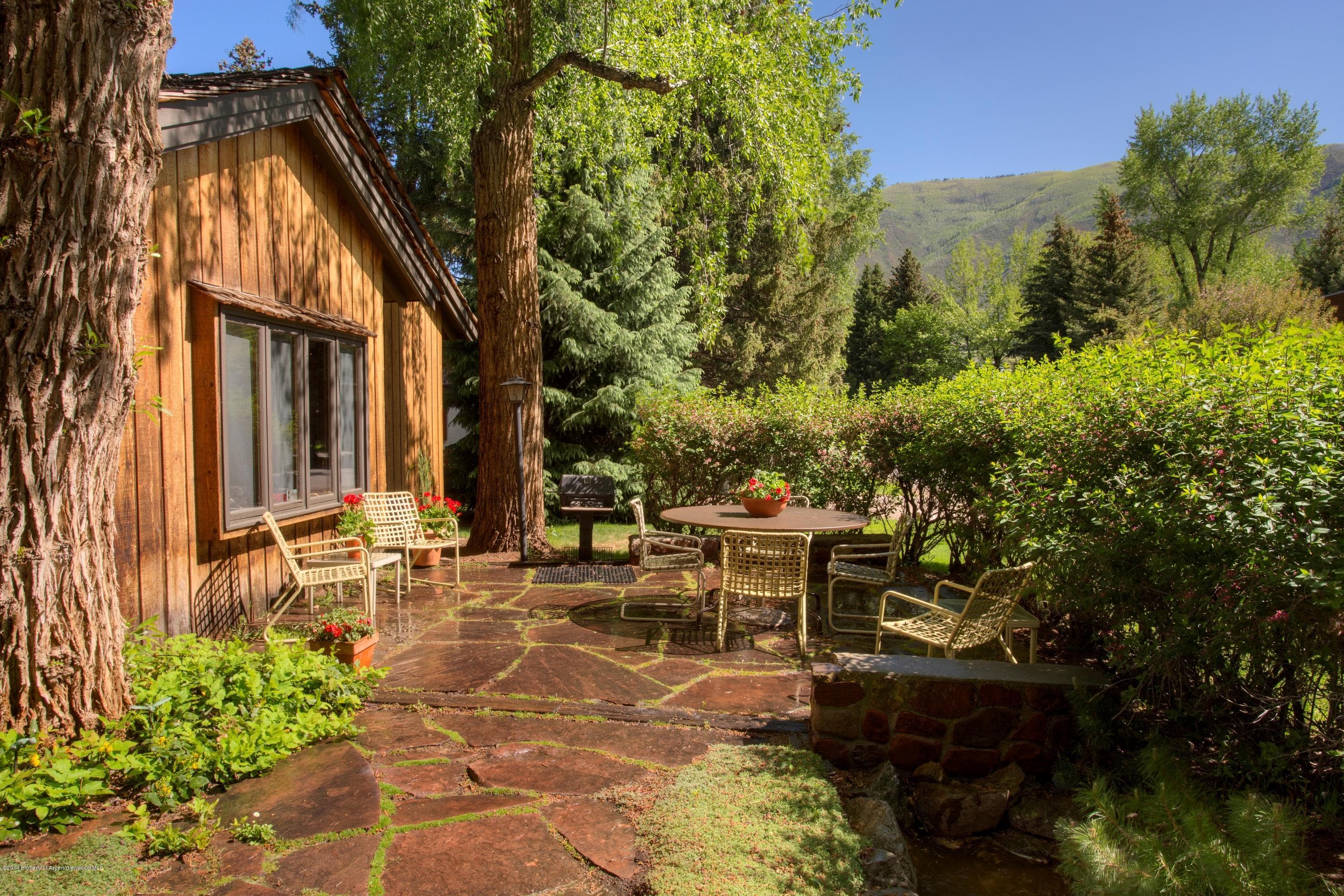 700 W Smuggler Street, Aspen, CO 81611 - Photo 5