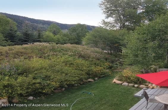 39 Roaring Fork Drive, Aspen, CO 81611 - Photo 2