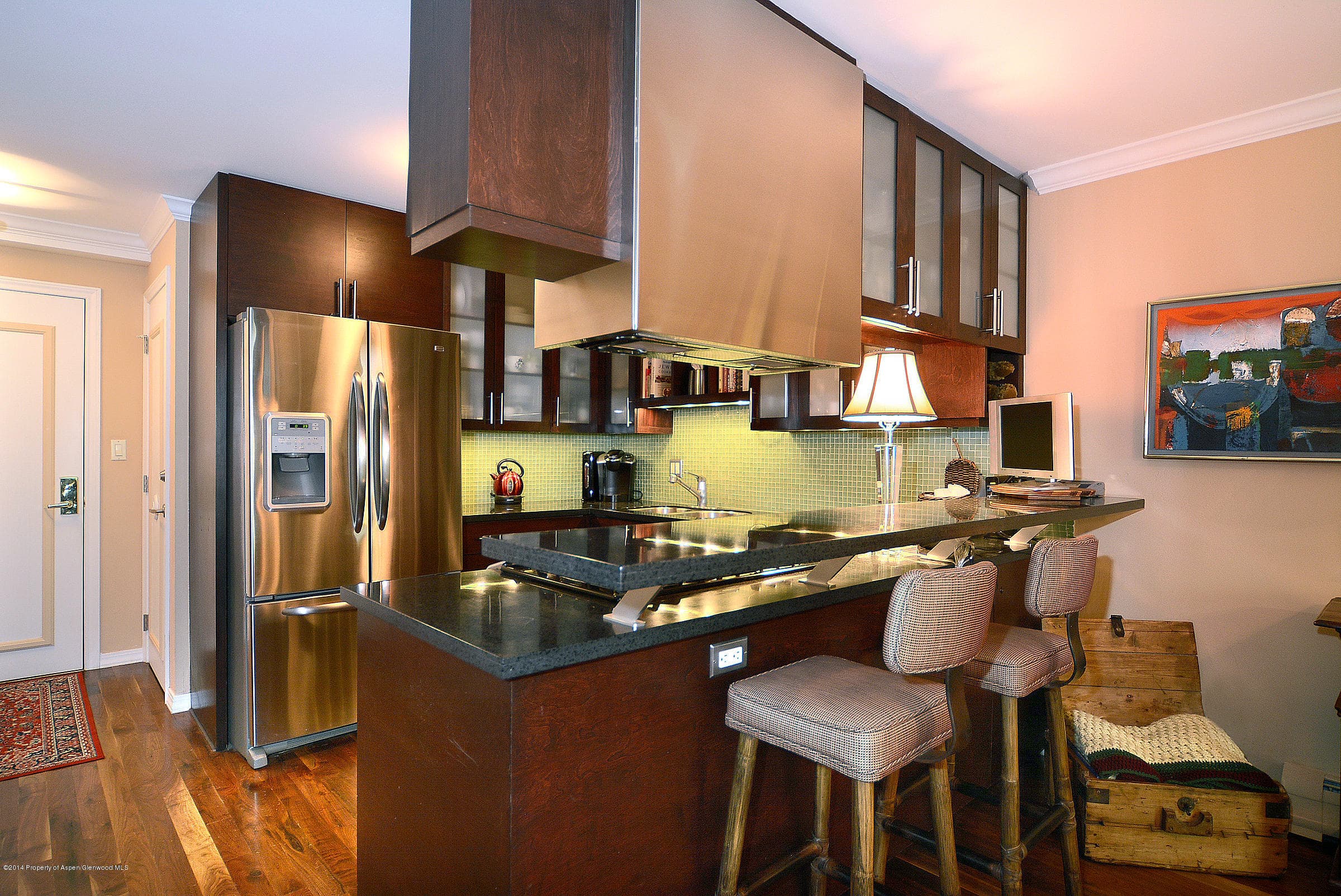 205 E Dean Street 1d, Aspen, CO 81611 - Photo 9