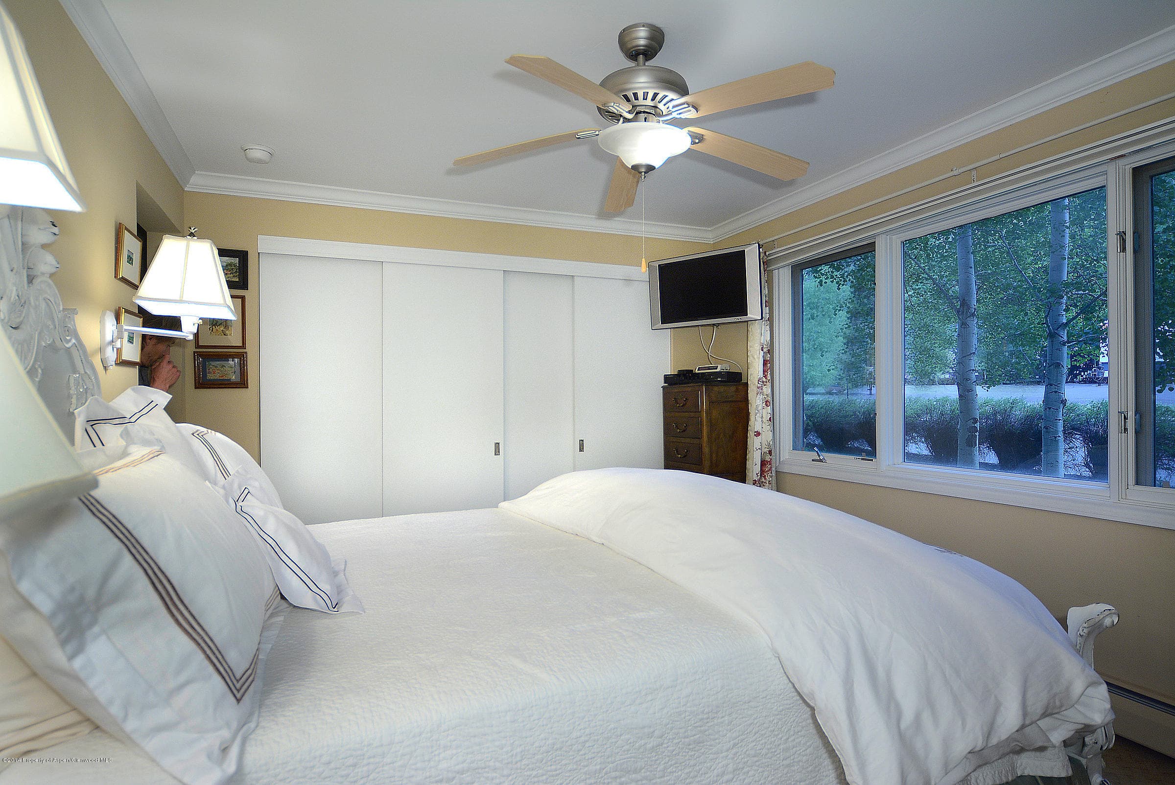 205 E Dean Street 1d, Aspen, CO 81611 - Photo 13