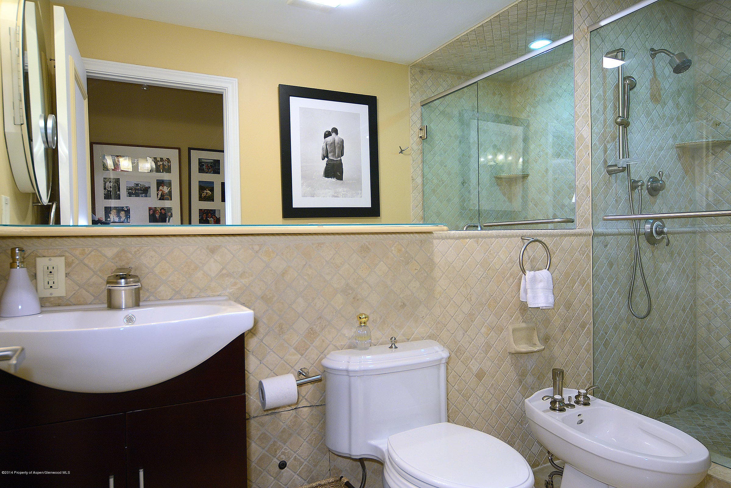 205 E Dean Street 1d, Aspen, CO 81611 - Photo 15