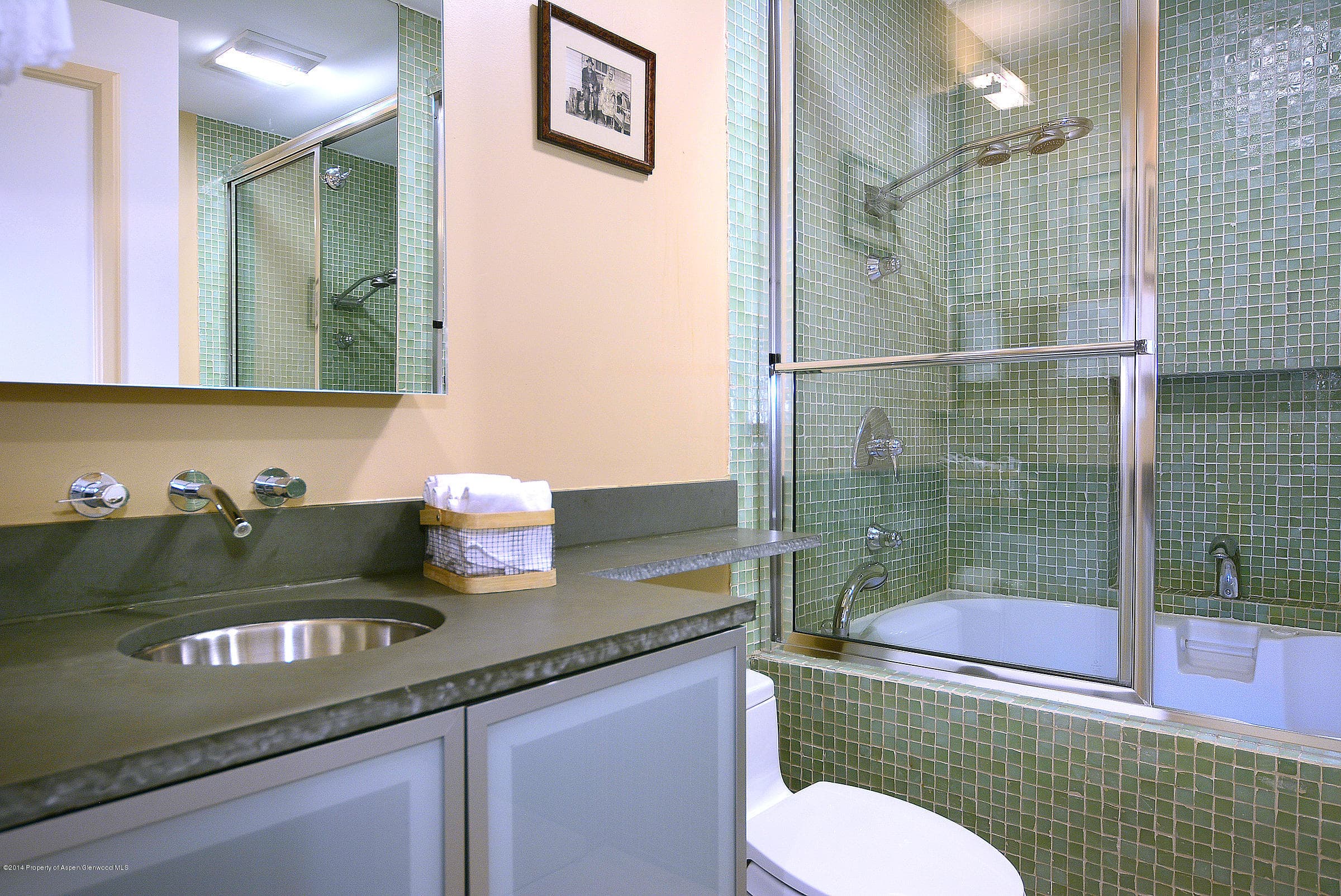 205 E Dean Street 1d, Aspen, CO 81611 - Photo 17