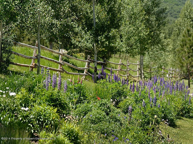 Tbd Lot 7 Stage Road, Aspen, CO 81611 - Photo 11