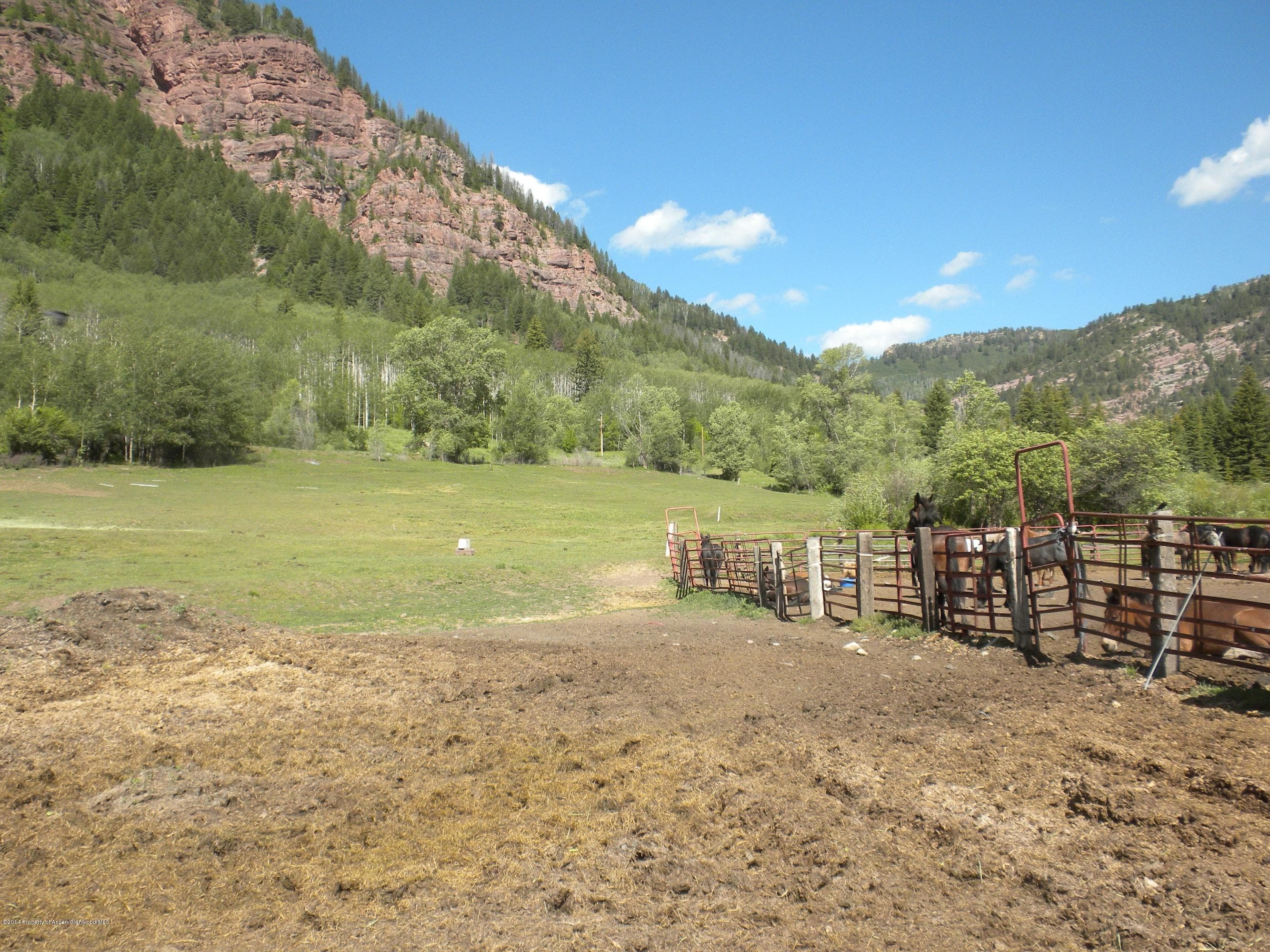 17843 Coal Creek Road, Redstone, CO 81623 - Photo 7