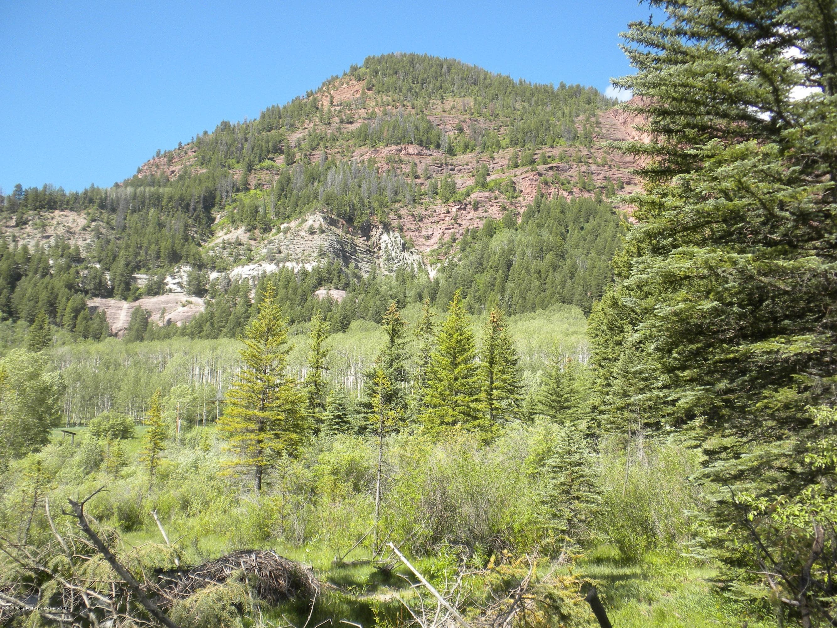 17843 Coal Creek Road, Redstone, CO 81623 - Photo 10