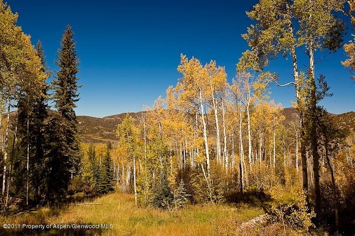 540 Pine Crest Drive, Snowmass Village, CO 81615 - Photo 7