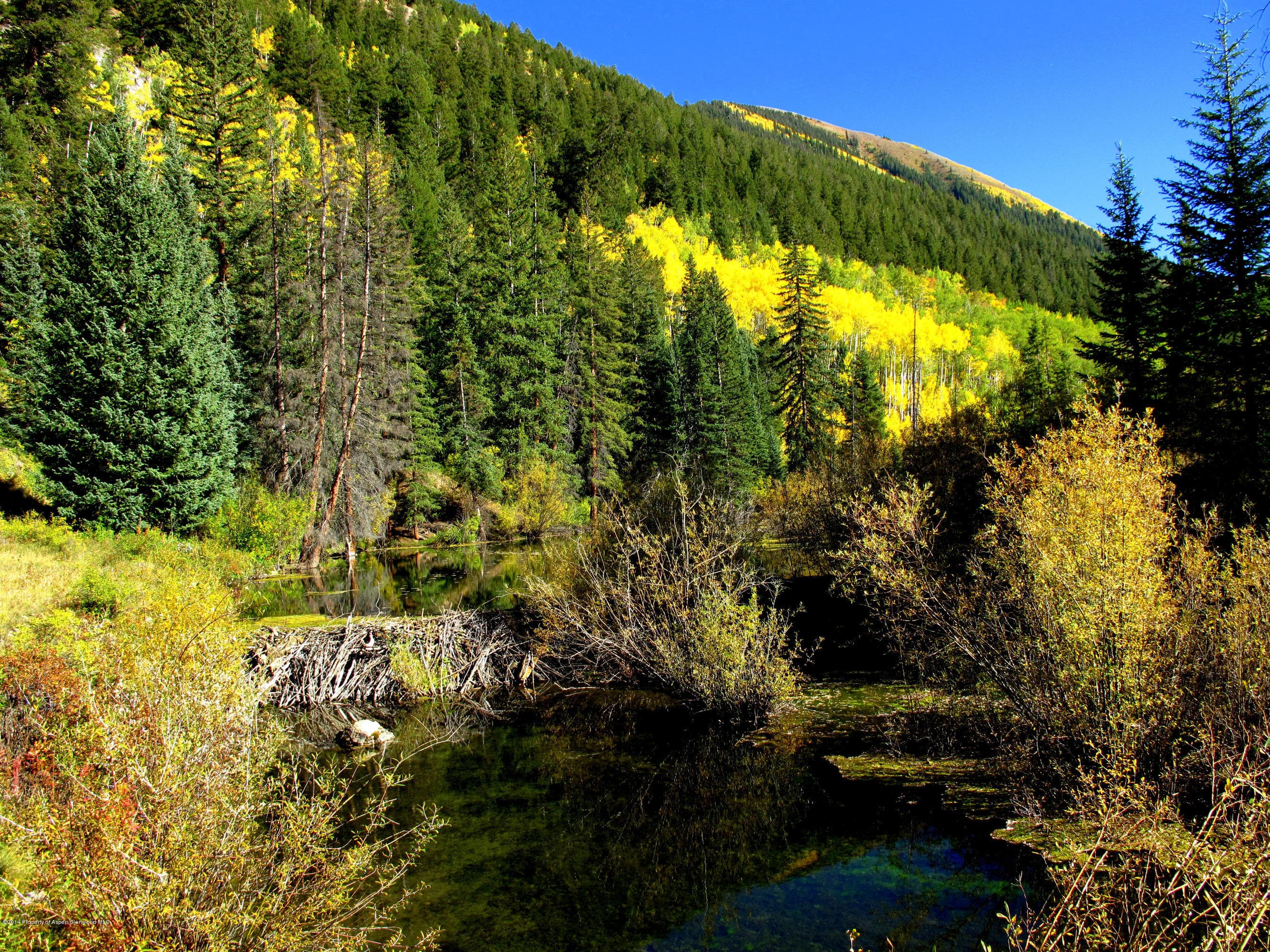 250 Express Creek Road, Aspen, CO 81611 - Photo 32