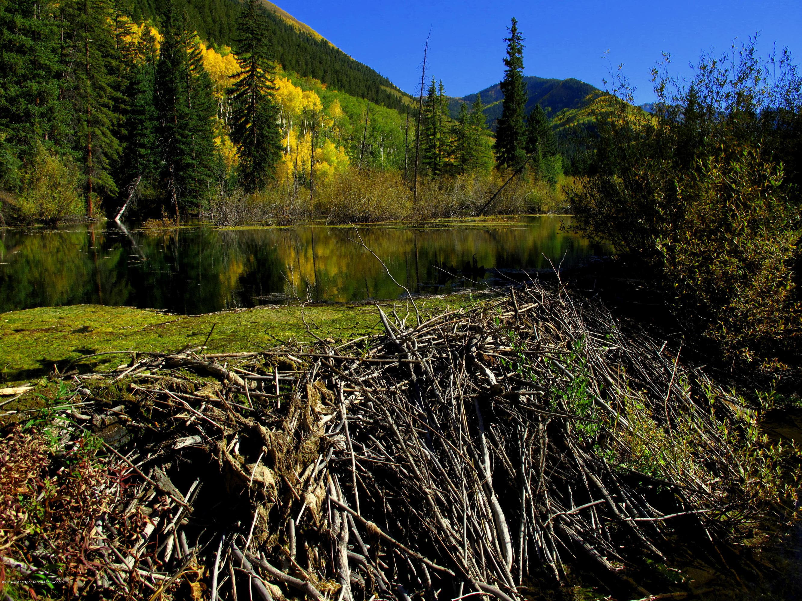 250 Express Creek Road, Aspen, CO 81611 - Photo 34