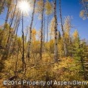 540 Pine Crest Drive, Snowmass Village, CO 81615 - Photo 2