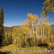 540 Pine Crest Drive, Snowmass Village, CO 81615 - Photo 3