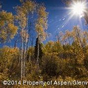 540 Pine Crest Drive, Snowmass Village, CO 81615 - Photo 6