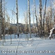 540 Pine Crest Drive, Snowmass Village, CO 81615 - Photo 19
