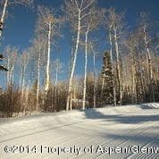 540 Pine Crest Drive, Snowmass Village, CO 81615 - Photo 22