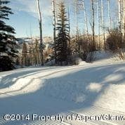 540 Pine Crest Drive, Snowmass Village, CO 81615 - Photo 24