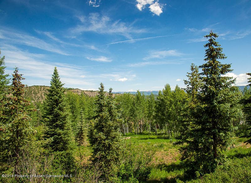 1005 Wood Road, Snowmass Village, CO 81615 - Photo 2