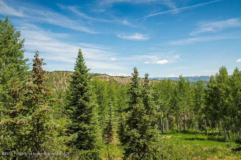 1005 Wood Road, Snowmass Village, CO 81615 - Photo 5