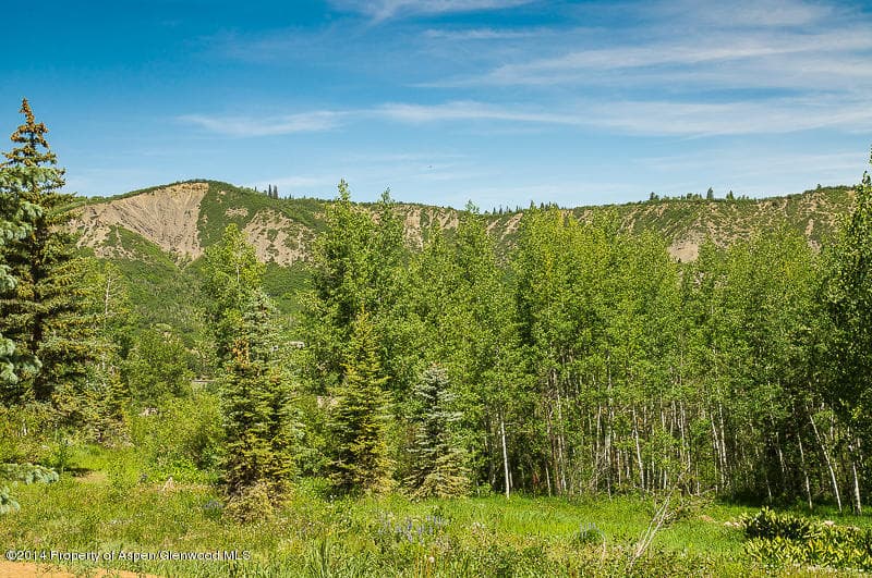 1005 Wood Road, Snowmass Village, CO 81615 - Photo 4