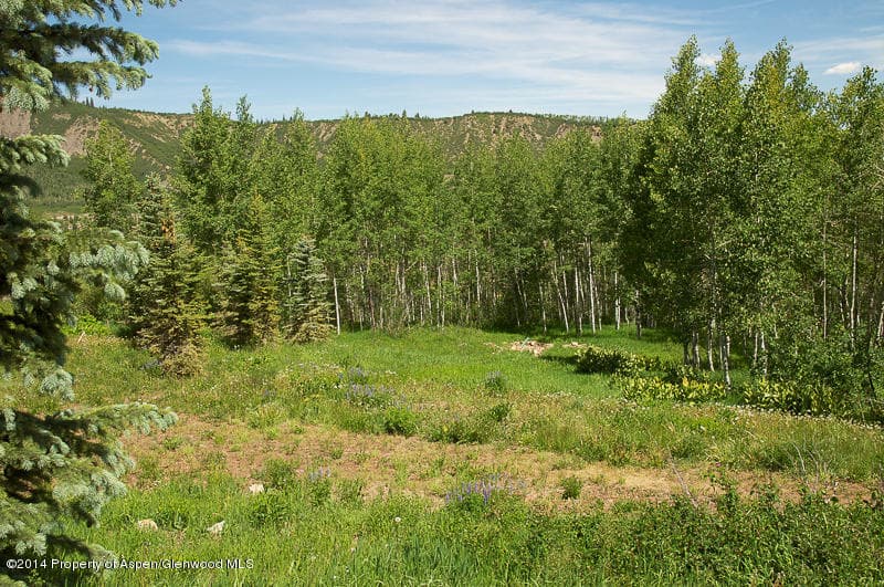 1005 Wood Road, Snowmass Village, CO 81615 - Photo 3