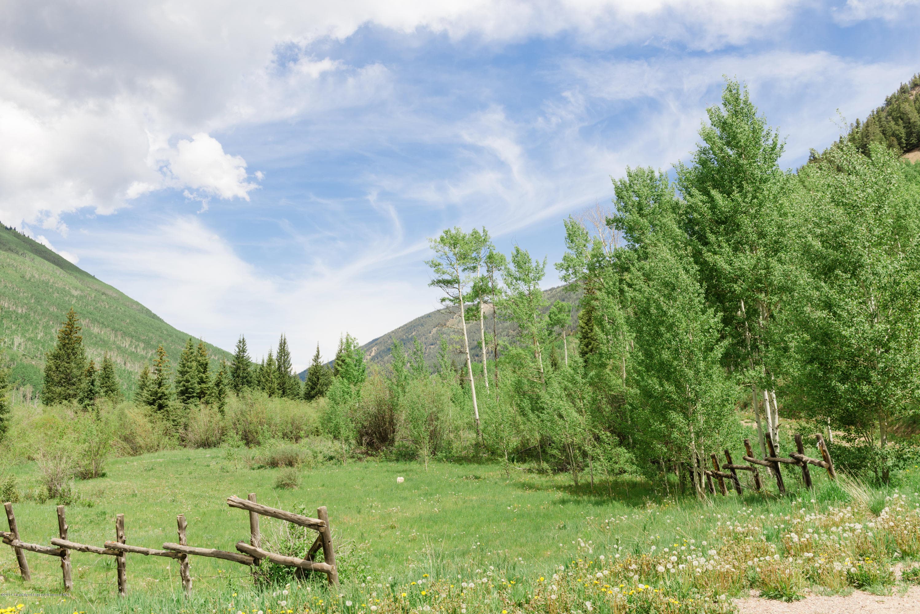 250 Express Creek Road, Aspen, CO 81611 - Photo 9