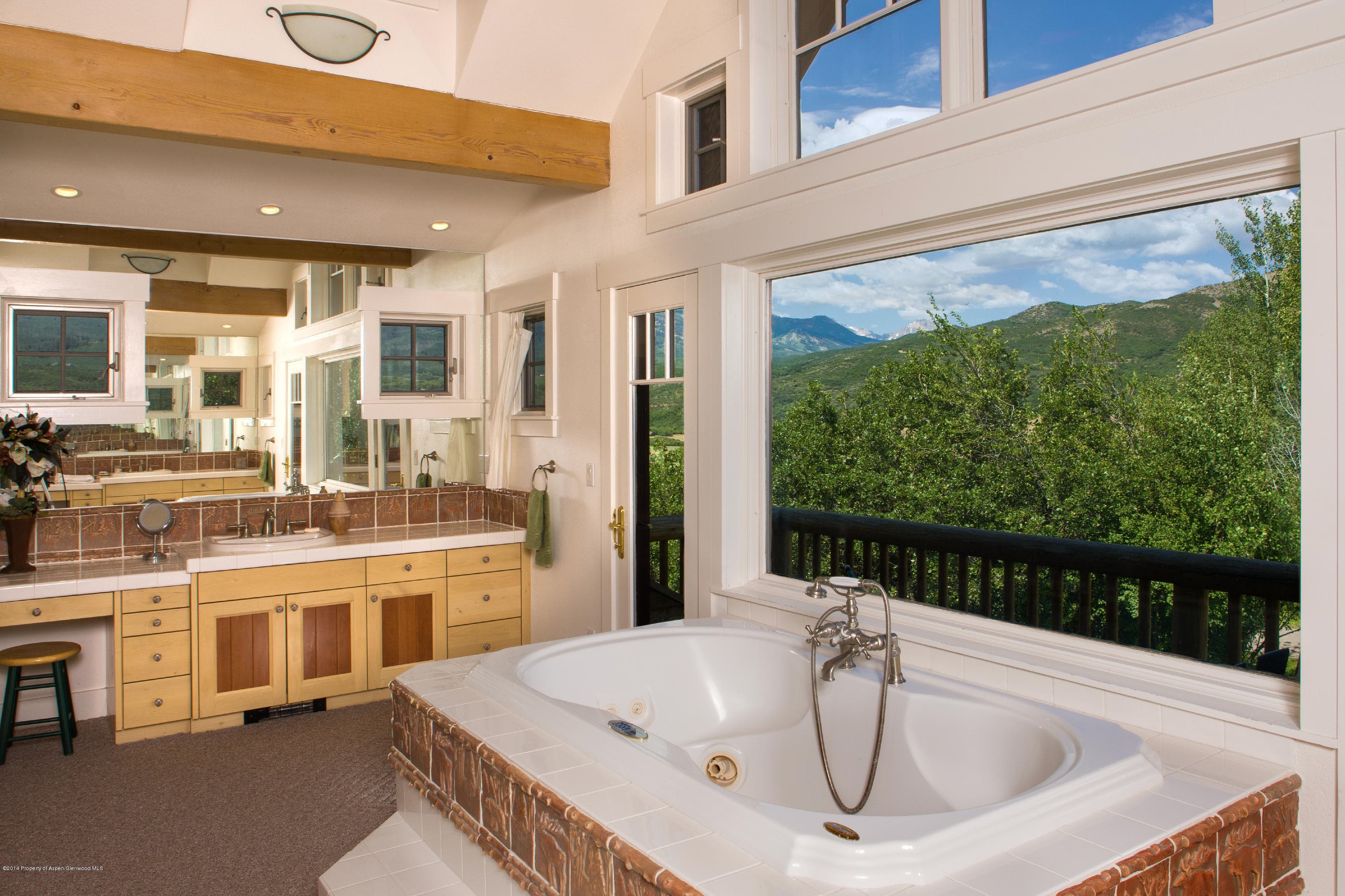 2680 Mclain Flats Road, Aspen, CO 81611 - Photo 11