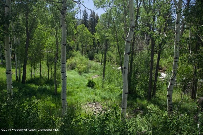 Tbd Highway 82, Aspen, CO 81611 - Photo 6