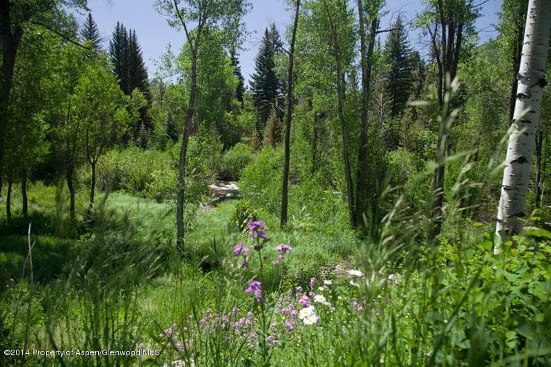 Tbd Highway 82, Aspen, CO 81611 - Photo 7
