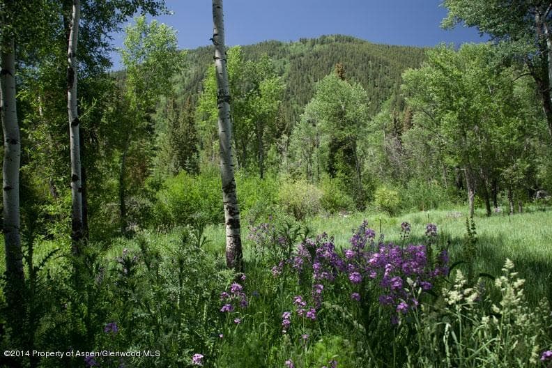 Tbd Highway 82, Aspen, CO 81611 - Photo 12
