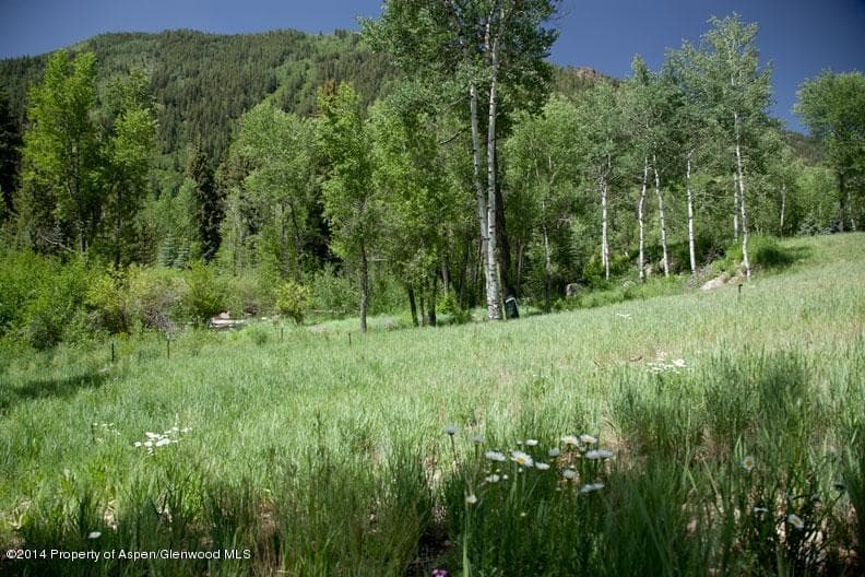 Tbd Highway 82, Aspen, CO 81611 - Photo 8