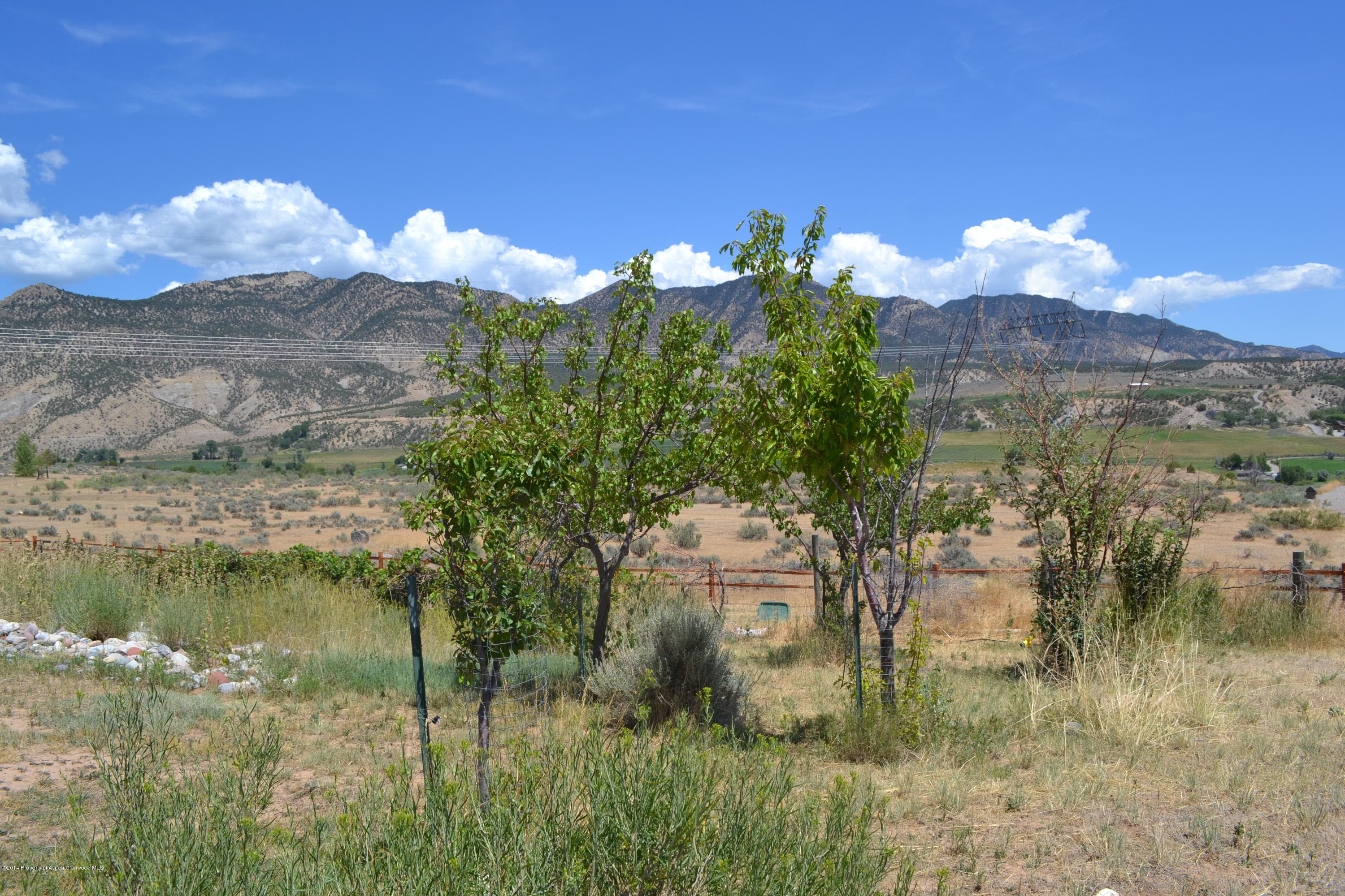 923 Mesa Drive, Rifle, CO 81650 - Photo 41